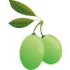 foglie olive proprietà
